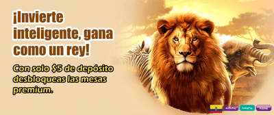 Descarga la App Betlinee hoy
